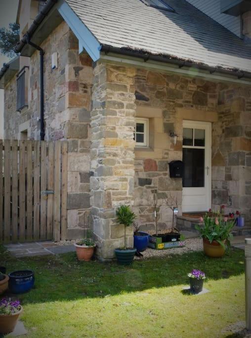Loch Lomond Unique Selfcontained Bed+Bathroom الإكسندرية المظهر الخارجي الصورة